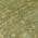 Fern color or pattern variation