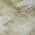 Taupe color or pattern variation