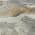 Khaki color or pattern variation