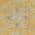 Yellow color or pattern variation