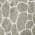 Taupe color or pattern variation