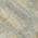 Green color or pattern variation