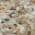 Beige color or pattern variation