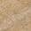 Coral color or pattern variation