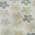 Ivory color or pattern variation