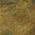 Copper color or pattern variation