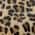 Leopard color or pattern variation