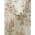 Cream Coral color or pattern variation