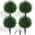 Green color or pattern variation