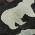 Black color or pattern variation