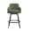 Grayish Green color or pattern variation
