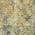Gold color or pattern variation