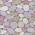 Plum color or pattern variation