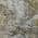 Taupe color or pattern variation