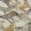 Ivory color or pattern variation