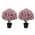 Pink color or pattern variation