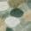 Green color or pattern variation