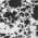 White color or pattern variation