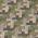 Olive color or pattern variation