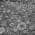 Gray color or pattern variation