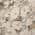 Khaki color or pattern variation