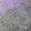 Lavender color or pattern variation