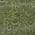 Olive color or pattern variation