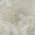 Beige color or pattern variation