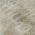 Beige color or pattern variation