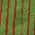 Fern color or pattern variation