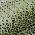 Green color or pattern variation