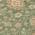 Fern color or pattern variation