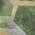 Green color or pattern variation