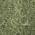 Olive color or pattern variation