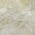 Beige color or pattern variation