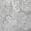 Gray color or pattern variation