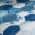 Blue and White color or pattern variation