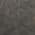 Gray color or pattern variation