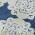 Navy color or pattern variation