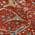 Red color or pattern variation