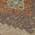 Brown color or pattern variation