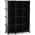 Black color or pattern variation