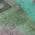 Teal color or pattern variation