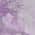 Lilac color or pattern variation