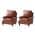Saddle color or pattern variation