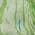 Green color or pattern variation