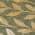 Olive color or pattern variation