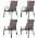 Brown color or pattern variation