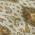 Ivory color or pattern variation