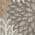 Natural color or pattern variation